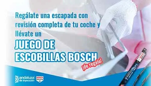 escobillas bosch regalo
